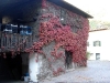 Weinreise Südtirol Oktober 2006