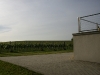 Weinreise Carnuntum Mai 2008