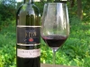 Weinreise Carnuntum Mai 2008