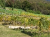Weinreise Südtirol September 2007