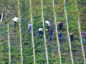 Weinreise Mosel 076