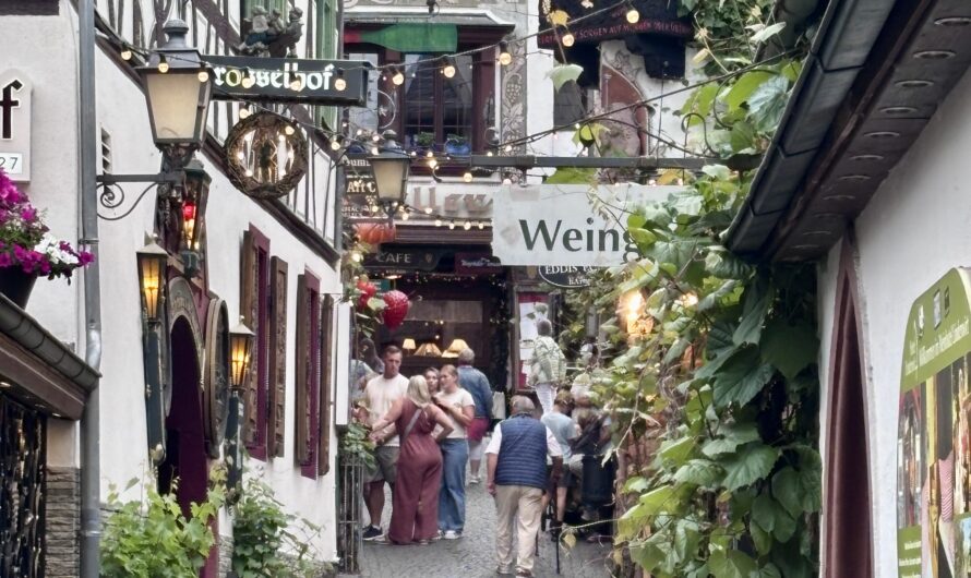 Weinreise Rheingau und Pfalz: Ein unvergessliches Erlebnis für Weinfreunde