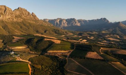 22. Neujahrsverkostung 2026